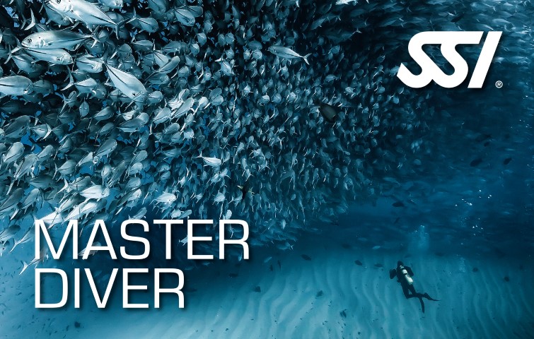 472566_master-diver-small